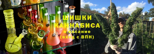 сатива Абинск