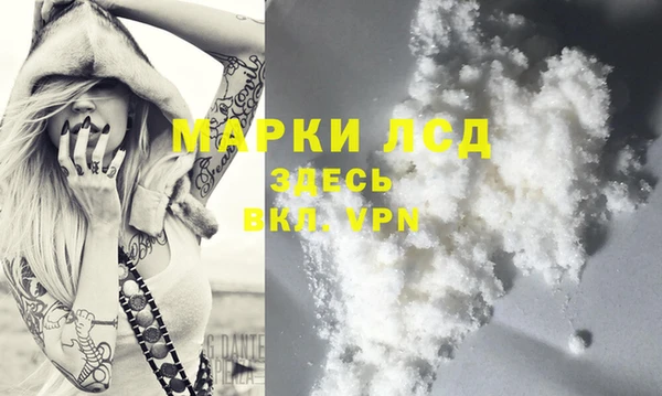 сатива Абинск