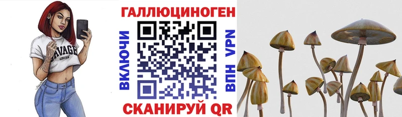 цена наркотик  Шарья  Псилоцибиновые грибы мухоморы 
